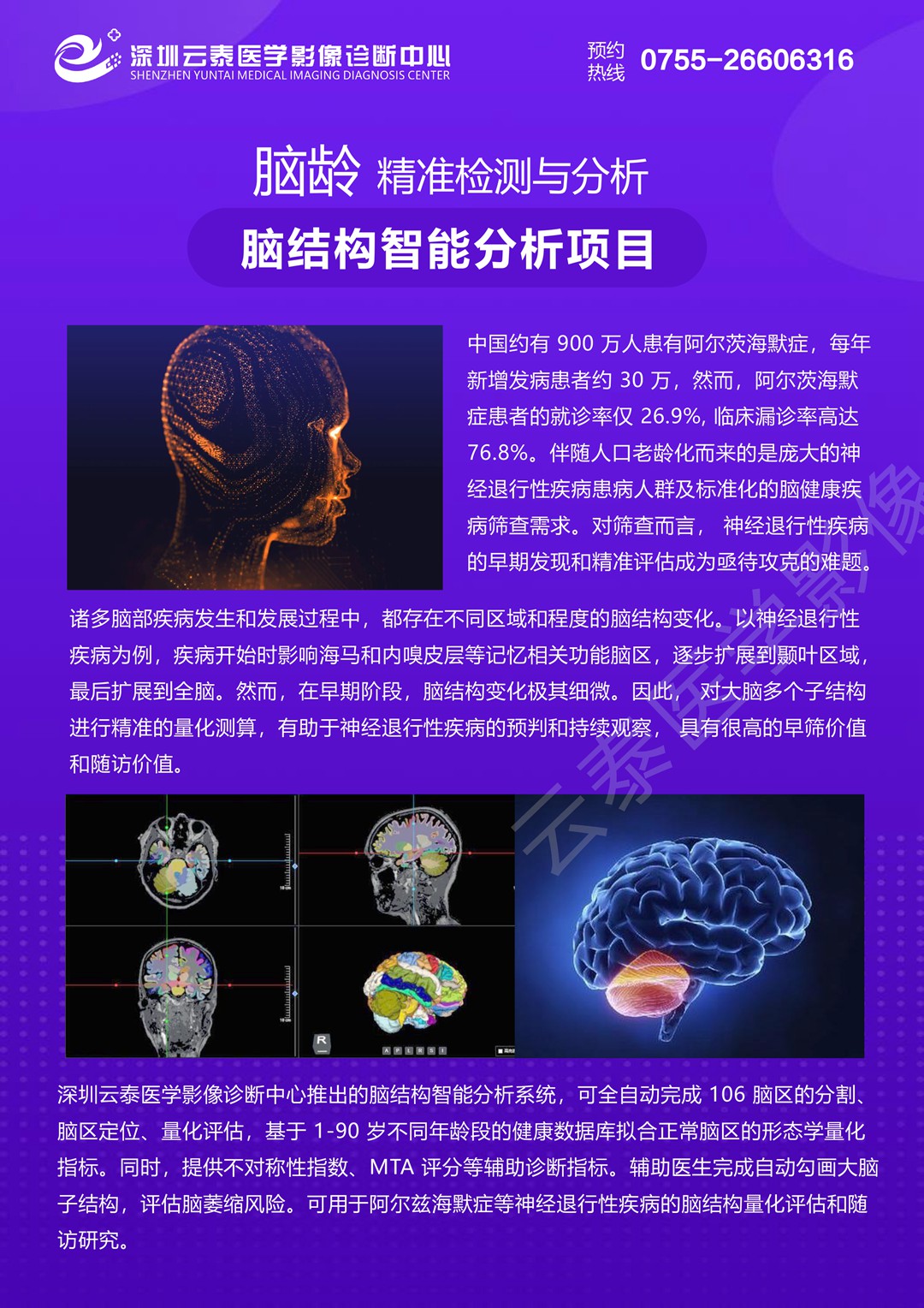 脑结构智能分析项目-1_副本.jpg