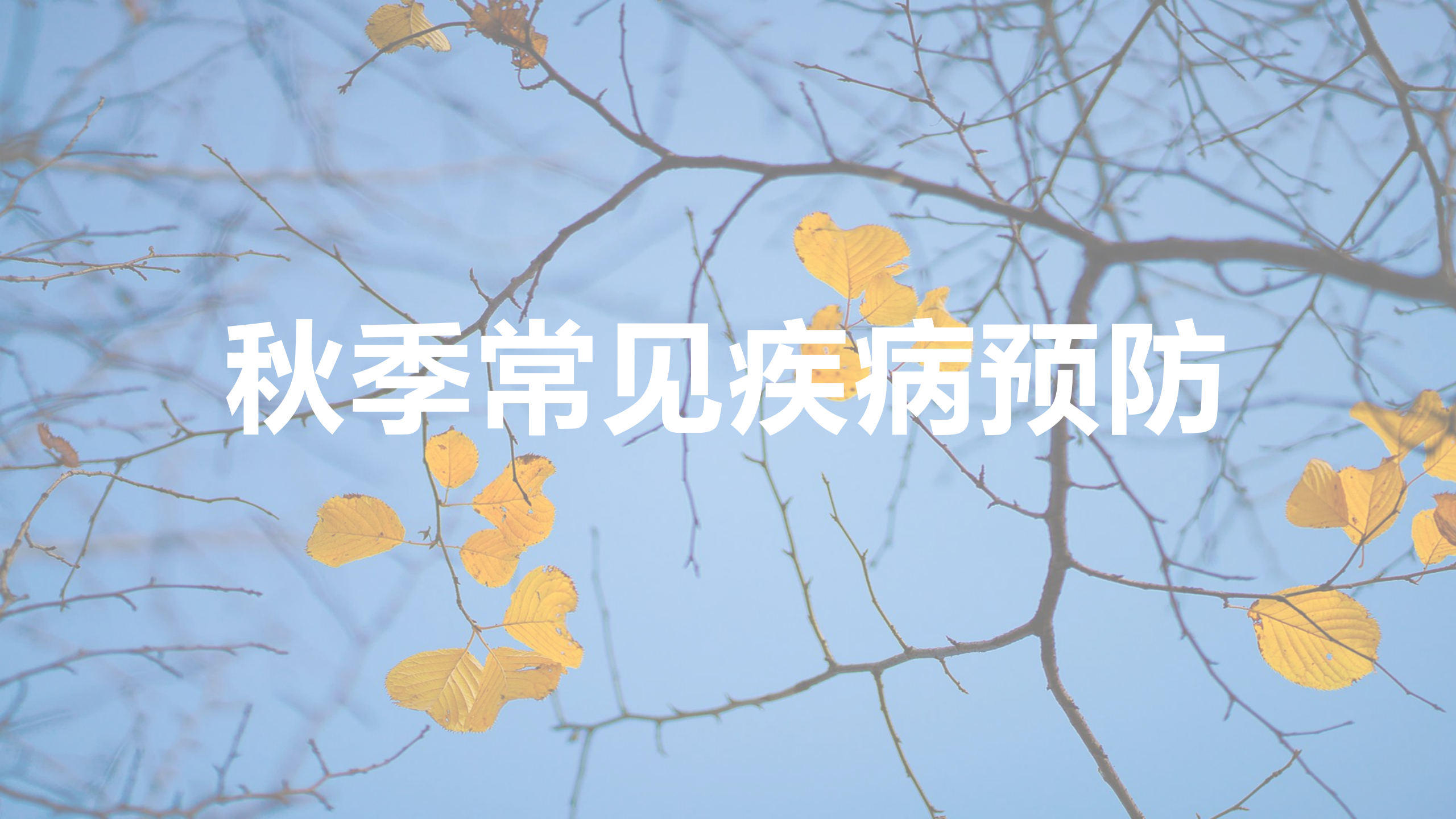秋天来了，树叶黄了，这些传染病又出来害人了