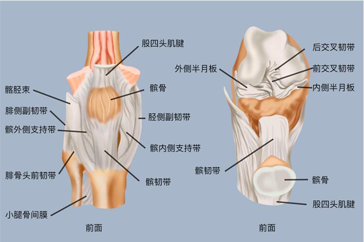 膝关节损伤为什么首选MRI检查？